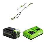 Greenworks 40V Cordless 2-in-1 Pole Saw and Pole Hedge Trimmer with Shoulder Strap, Pole Saw 20cm Bar, Trimmer 51cm Dual Action Blades, WITH 4Ah Battery and Charger