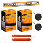 2x Continental 29" MTB Inner Tubes Presta French Valve + BALDYS TYRE LEVERS