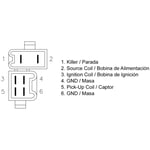 Cdi-Box tecnium - Cdi box