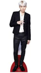 BTS Min Yoon Gi Suga Star Mini Cardboard Cutout 90cm