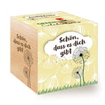 Feel Green Celebrations Ecocube Graines de Pissenlit Certifié Bio avec Gravure au Laser « Schön, DASS ES Dich Gibt » Idée Cadeau Durable