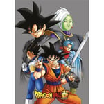 DRAGON BALL Plaid Polaire DBZ-Tous les personnages-Gray, One Size