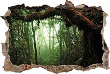 pixxp Rint 3D WD 1411 _ 92 x 62 Brouillard dans la Jungle percée 3D Sticker Mural Mural en Vinyle, Multicolore, 92 x 62 x 0,02 cm