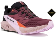 Salomon Sense Ride 5 Gore-Tex W Chaussures de sport femme