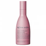 Björn Axén Argan Oil Shampoo (250ml)