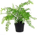 Leaf Design UK Grande Plante Artificielle réaliste avec Palmier en Pot 50 cm AZ-Foliage