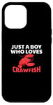 Coque pour iPhone 15 Pro Max Lobster fruits de mer amusants Just A Boy Who Loves Crawfish