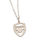 Arsenal FC Crest Halsband & Hänge One Size Silver One Size