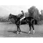 Artery8 After Stull Racehorse Salvator Unframed Wall Art Print Poster Home Decor Premium