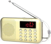 PR11 Poste Radio Portable, Radio FM AM Piles et Secteur, MP3, Enceinte, Support TF Card/USB, Torch, Convient pour la Survive, Salle de Bain, Voyage et Outdoor, Cadeau de Noël (Doré)