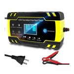 Ranipobo - Chargeur de batterie intelligent 12V - 24V avec ecran LcD pour voiture, camion, moto, bateau, suv, vtt
