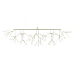 Heracleum III Linear - Green