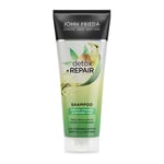 John Frieda Detox & Repair Schampo 250 ml