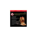 Petwise fästinghalsband hund, M/L 40-70cm
