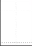 Dataform STE Transportetikett 105x270 mm