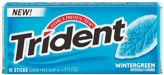 Trident Wintergreen Gum 31g