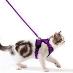 Wdmiya Harnais Chat Petit Chien Laisse Harnais Chaton Réglable Gilet Refléchissant Respirant, Collier Harnais et Laisses Sécurité Anti-évasion pour Lapin Chats et Chiots (XS, Violet)