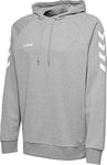 hummel Men's go cotton hoodie hoodie Grey Melange