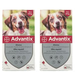 Advantix Chien moyen de 10 kg - 25 Pipette(S) Unidose(S) 2x4 pc(s)