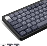 Low Profile Keycaps 143,PBT Touches Clavier 75 pourcent Shine Through,Touches pour ANSI US 60% 65% 75% 80% 100% Cherry Gateron MX Commutateur Clavier mécanique,Gris(Q1356)