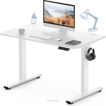 FLEXISPOT Essential Electric Standing Desk ONE PIECE Height Adjustable Standing