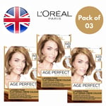 L'Oreal Excellence Age Perfect 6.03 Light Golden Brown Hair Dye - Pack of 3