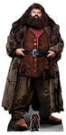 STAR CUTOUTS SC1477 Rubeus Hagrid Giant Half Human Harry Potter Lifesize Free Mini Cardboard Cutout Height 197cm