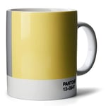 PANTONE Mug, coffee / tea cup, fine china (ceramic), 375 ml, COY21 - gift box