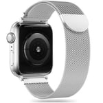 Apple Watch Series 9/8/SE (2022)/7/SE/6/5/4/3/2/1 Tech-... Silver