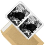 2 x Rectangle Stickers 10cm BW - Cute Kittens Black Tabby Ginger Cat #43908