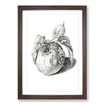 Big Box Art Apple by Jean Bernard Framed Wall Art Picture Print Ready to Hang, Walnut A2 (62 x 45 cm)