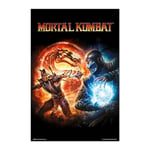 Grupo Erik Poster Mortal Kombat, Couverture du Jeu