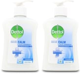 Dettol Liquid Antibacterial Handwash Camomile 250ml X 2