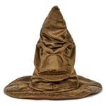 Wizarding world sorting hat