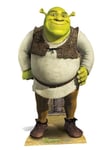 Shrek Green Ogre Mini Cardboard Cutout Stand Up Standee Great for fans & Events