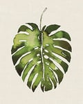 The Art Group Summer Thornton (Tropical Leaf I) -Canvas Print 40 x 50cm, Wood, Multi-Colour, 40 x 50 x 1.3 cm