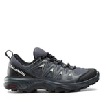 Trekking-skor Salomon X Braze GORE-TEX L47180800 Blå