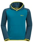 Jack Wolfskin Unisex Active Hoody K Hoodie - Everest Blue, 176, Everest Blue, 176 cm