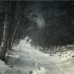 Pelcasa Into The Winter Forest Poster 70x100 Cm