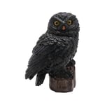 Hocus Pocus Halloween Black Owl Figurine