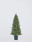 John Lewis Bala Blue Potted Pre-lit Christmas Tree, 7ft