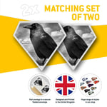 2 x Diamond Stickers 10 cm  - Black Raven Crow Bird Horror  #8109