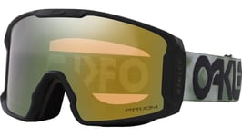 Ski goggles Oakley Line Miner M B1B Jade Fog Prizm Sage Gold OO7093-84