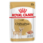 Royal Canin Chihuahua Adult - oheen märkäruoka: 24 x 85 g Royal Canin Breed Chihuahua