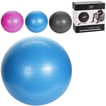 Fx-tools - balle de yoga 55 cm + gonfleur assorti xqmax