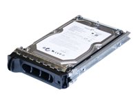 Origin Storage - Hårddisk - 1 Tb - Hot-Swap - 3,5" - Sata 1.5Gb/S - 7200 Rpm - För Dell Poweredge 1950, 1950 Iii (3,5"), 2950 (3,5"), 2950 Iii (3,5")  Powervault Md1000