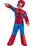 Toddler Child Official Marvel Deluxe Spider man Fancy Dress Costume