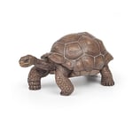 Papo - Figurines A Collectionner - Tortue Des Galapagos - Animaux Sauvages - Convient Aux Enfants - Filles Et Garçons - A Partir De 3 Ans