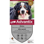 Advantix Chien Solution Antiparasitaire Très Grande Race 40 à 60kg 4 pipettes