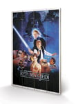 Star Wars - Return Of The Jedi - Impression Sur Bois 40x59cm